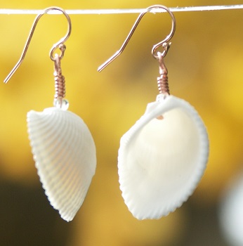 Shell We Dance Fragrance Earrings $14.99